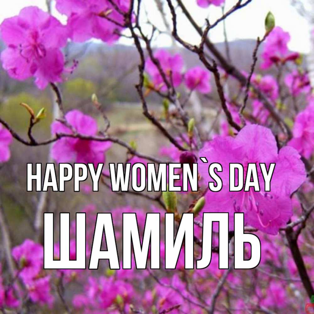 Greetings card с именем, Шамиль happy women`s day международный женский день Greetings with text for free download 